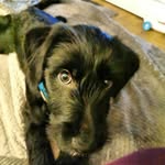 Bailey - @bailey_freund_ - Instagram