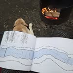 Friday Bailey - @fridaybailey - Instagram