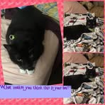 Bailey Friedman - Facebook