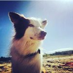 bailey fuller - @_bailey_fuller_ - Instagram