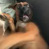 Bailey Fuller - @bailey.fuller - TikTok