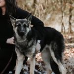 Bailey Fuller - @shepherdnamedbailey - Instagram