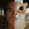 lee !! - @baileegabbard - TikTok