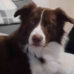 Bailey D Galbraith - Facebook