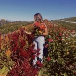 Bailey Gallagher - @bailey_gall5 - Instagram