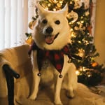 Bailey Gallegos - @young_bayster - Instagram