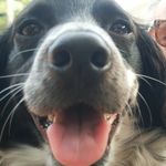 Bailey Gamble - @the_daily_bailey_news - Instagram