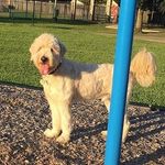 Bailey Gamble 😌 - @yk_bailey.golden - Instagram