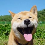 bailey garrison - @baileyjgarrison - Instagram