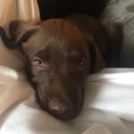 Bailey Rogue Garza - @baileyrogue - Instagram