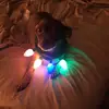 cheriebaileygeesl - @cheriebaileygeesl - TikTok