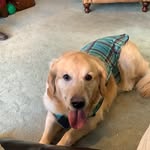 Gentleman Bailey - @gentleman_bailey - Instagram