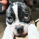George Bailey - @gentleman.george.bailey - Instagram