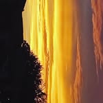 Bailey Gentry - @baileygentry4 - Instagram