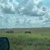 baileygentry45 - @bailey.gentry - TikTok
