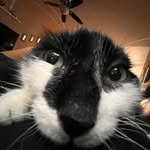 Bailey - @baileyy.geyer - Instagram