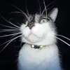 Bailey - @baileyy.geyer - TikTok