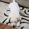 Bailey - @baileygilbert_2 - TikTok