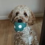 Bailey - @bailey_giles__ - Instagram