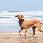 Susan Gillett - @gillettbailey - Instagram