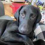 @bail.eygirard2021 - Instagram