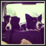 Bailey and Oscar Girard - @baileyandoscar - Instagram