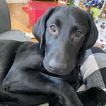 Bailey girard - @bailey_girard2021 - Instagram