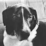 Bailey glover - @glover4545 - Instagram