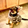 Bailey Goins - @baileygoins - TikTok