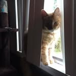 Rachelle Ellen Goins Bailey - @goinsbailey - Instagram