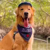 BAILEY 🐾 - @baileygolden._ - TikTok