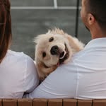 Bailey - @bailey__goldengirl - Instagram