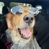 golden.girl.bailey - @baileymaethegolden - TikTok