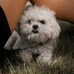 Beacon Marie Hayes / Bailey Marie Goldstein Egan Hayes - @thebaiwatch - Instagram