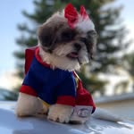 Bailey Gomez - @baileybailey0711 - Instagram