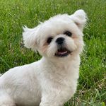Bailey Gonzalez - @bailey.boy_7 - Instagram