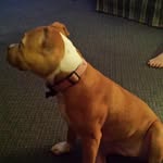 Bailey Goode - @b_goode01 - Instagram
