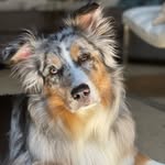 roro merchan - @baileygoodestboi - Instagram
