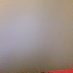 Bailey - @bailey__gould_ - Instagram