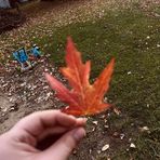 Bailey Gould - Facebook