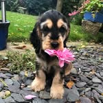 Bailey Greaves - @bailey_greaves - Instagram