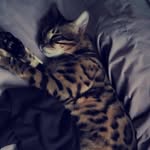 Bailey Green - @bailes_07 - Instagram