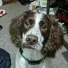 bailey - @baileygreenfield - TikTok