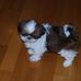 Bailey Greenfield - Facebook