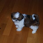 Bailey Greenfield - @baileygreenfield - Instagram