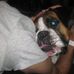 Bailey Greenfield - Facebook