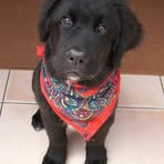 Bailey Gregson - Facebook