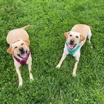 Bailey + Grey - @baileyandgrey_ - Instagram