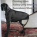 Bailey Grey Interiors - Facebook