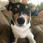 bailey griggs - @baileydrt - Instagram